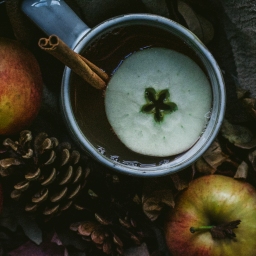 fall glory (and homemade apple cider)